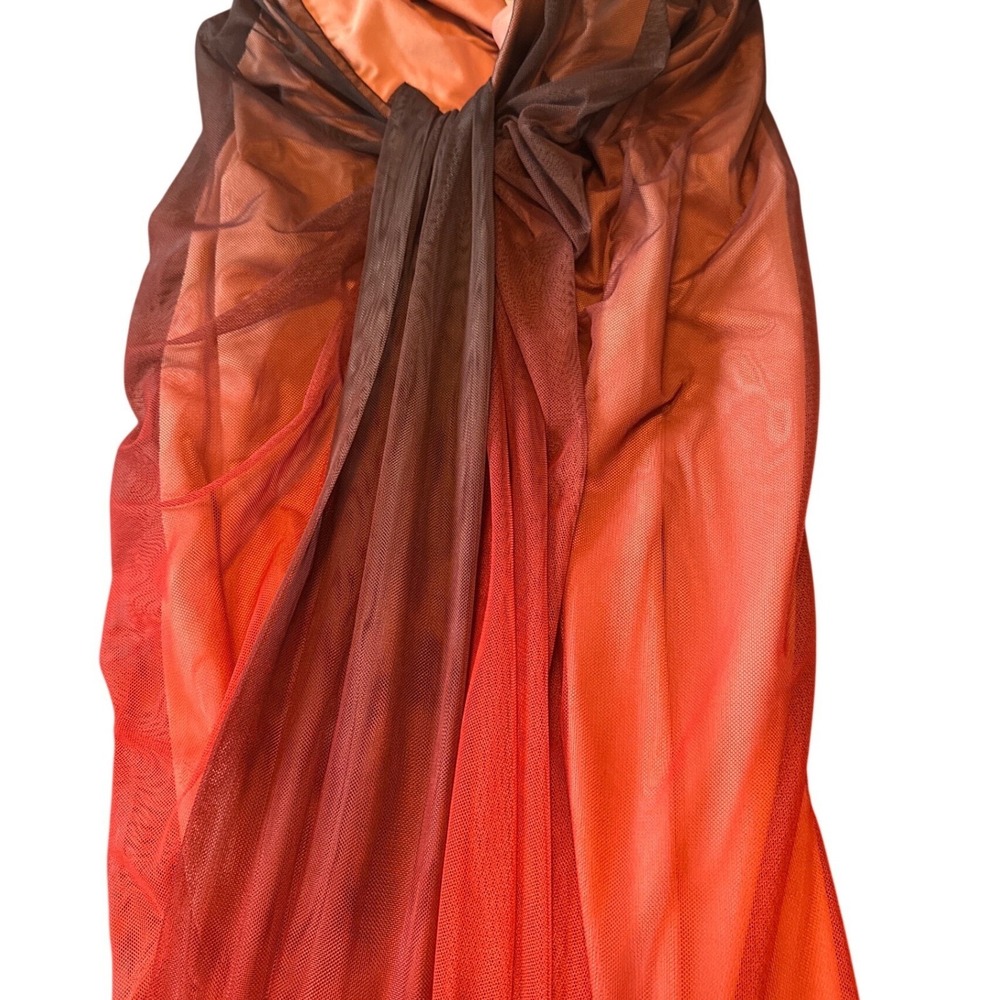 BAOBAB Lena Maxi Dress Cranberry Ombre Mesh Draped Gown BBAB-WD235 NWT Large - Picture 8 of 12